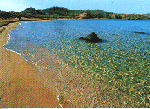 CAP DE CAVALLERIA